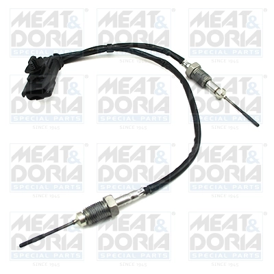 Sensor, exhaust gas temperature